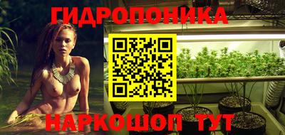 прущий лед Будённовск
